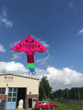 Rosa-Fisk-deltadrake med svans i flera glada färger - Exklusiv Drake från www.Drake.nu