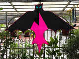 Fladdermus Röd/Rosa - Bat / Batman - Exklusiv drake från www.Drake.nu