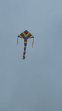 Stora Regnbågen - deltadrake med svans i flera glada färger - Exklusiv Drake från www.Drake.nu