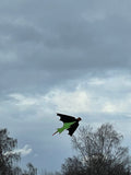 Fladdermus Grön - Bat / Batman - Exklusiv drake från www.Drake.nu