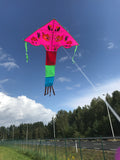 Rosa-Fisk-deltadrake med svans i flera glada färger - Exklusiv Drake från www.Drake.nu