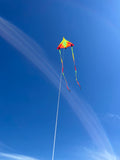 SpiderKites Concorde extra stor kvslitetsdrake