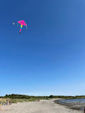 Delfiner in Paradiset Rosa deltadrake med svans i flera glada färger - Exklusiv Drake från www.Drake.nu