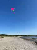 Delfiner in Paradiset Rosa deltadrake med svans i flera glada färger - Exklusiv Drake från www.Drake.nu