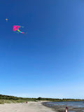 Delfiner in Paradiset Rosa deltadrake med svans i flera glada färger - Exklusiv Drake från www.Drake.nu