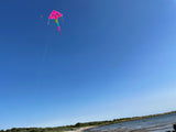Delfiner in Paradiset Rosa deltadrake med svans i flera glada färger - Exklusiv Drake från www.Drake.nu