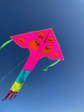 Rosa-(bad)anka-deltadrake med svans i flera glada färger - Exklusiv Drake från www.Drake.nu