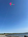 Delfiner in Paradiset Rosa deltadrake med svans i flera glada färger - Exklusiv Drake från www.Drake.nu
