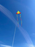 SpiderKites Concorde extra stor kvslitetsdrake