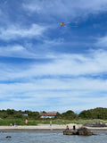 SpiderKites Concorde extra stor kvslitetsdrake