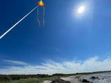 SpiderKites Concorde extra stor kvslitetsdrake