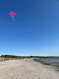 Delfiner in Paradiset Rosa deltadrake med svans i flera glada färger - Exklusiv Drake från www.Drake.nu