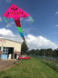 Rosa-Fisk-deltadrake med svans i flera glada färger - Exklusiv Drake från www.Drake.nu