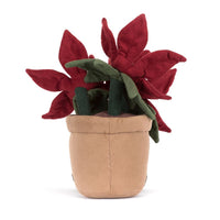 Amuseable Poinsettia - Julstjärna - Euphorbia pulcherrima - Gossedjur som ser ut som växter