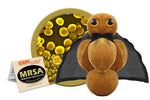 MRSA - Multiresistent Staphylococcus Aurus / Staph och MRSA