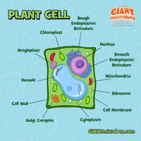 Växtcell / Plant cell Giant Microbe Gossedjur