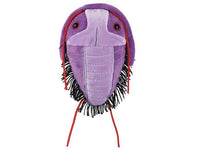 Trilobit / Trilobite / Asaphiscus Wheeleri - Giant Microbe (FLERA STORLEKAR)