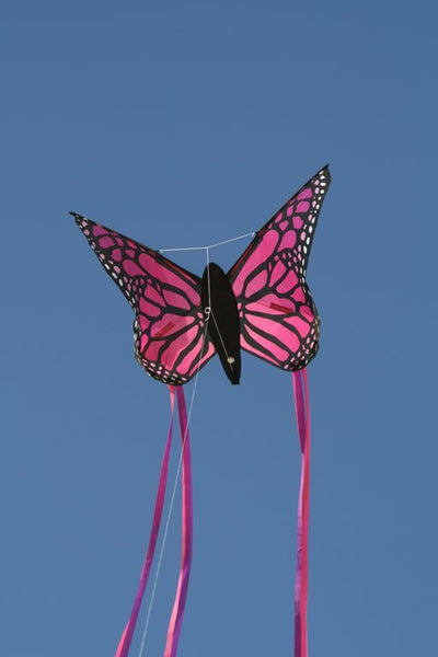 Rosa 3D Fjäril Drake från Tyska Spider Kites- Schmetterling / Butterfly