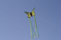 Grön/gul 3D Fjäril Drake från Tyska Spider Kites- Schmetterling / Butterfly