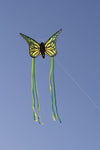Grön/gul 3D Fjäril Drake från Tyska Spider Kites- Schmetterling / Butterfly