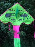 Beetle - Vihreä delta-lohikäärme, jossa on häntä useissa iloisissa väreissä - Exclusive Dragon osoitteesta www.Drake.nu