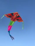 Orange-örn-deltadrake med svans i flera glada färger - Exklusiv Drake från www.Drake.nu