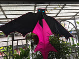 Fladdermus Röd/Rosa - Bat / Batman - Exklusiv drake från www.Drake.nu
