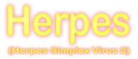 Herpes gossedjur flera storlekar / (Herpes Simplex Virus 2)