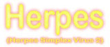 Herpes gossedjur flera storlekar / (Herpes Simplex Virus 2)