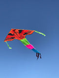 Orange-örn-deltadrake med svans i flera glada färger - Exklusiv Drake från www.Drake.nu