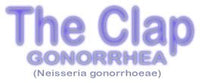 Gonorré gossedjur ca.50x20cm / Neisseria gonorrhoeae / Gonokocker / Clap / Gonorrhoeae / Gonore