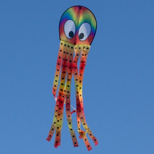 Regnbågsfärgad Jättebläckfisk drake / kite