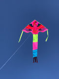 Rosa-örn-deltadrake med svans i flera glada färger - Exklusiv Drake från www.Drake.nu