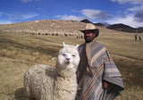 Faithful Alpaca Black Hat / poolo Knitting Factoryn