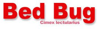 Vägglus - Cimex lectularius - Bed Bug