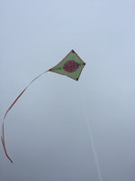 Korsdrake nyckelpiga Drake / Cerf-Volant Coccinelle / Ladybug Diamond Kite