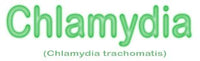 Klamydia / Chlamydia (Chlamydia trachomatis) - diameter ca.40cm