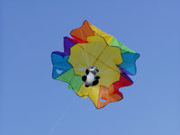Fallskärmshoppare pandanalle - PANDA BEAR CHUTE 100*120 KITE / Drake  från Dida Kites