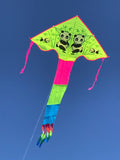 Keltainen Pandor-lohikäärme -delta-lohikäärmeestä, jossa on häntä useissa iloisissa väreissä - Exclusive Dragon www.Drake.nu
