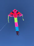Rosa-örn-deltadrake med svans i flera glada färger - Exklusiv Drake från www.Drake.nu