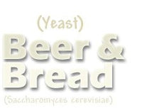Bagerijäst, Bryggarjäst - Saccharomyces cerevisiae - Jag brygger öl och vin