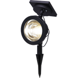 Solar Spotlight Powerspot
