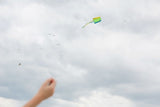 Fickdrake Djeco Regnbåge DRAKE / CERF-VOLANT De poche / Pocket Rainbow Kite