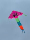 Rosa-Pandor-deltadrake med svans i flera glada färger - Exklusiv Drake från www.Drake.nu med Panda