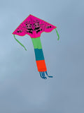 Rosa-Pandor-deltadrake med svans i flera glada färger - Exklusiv Drake från www.Drake.nu med Panda