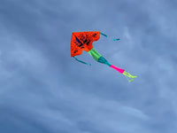 Orange-Pandor-deltadrake med svans i flera glada färger - Exklusiv Drake från www.Drake.nu