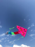 Rosa-Fisk-deltadrake med svans i flera glada färger - Exklusiv Drake från www.Drake.nu