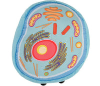 Djurcell / Animal cell Giant Microbe Gossedjur