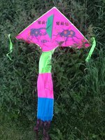 Skalbagge - Rosa deltadrake med svans i flera glada färger - Exklusiv Drake från www.Drake.nu