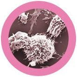 Bröstcancer - cellen kan botas genom att vränga den (mjukisdjur ca15cm i diameter ) - Malignant Neoplasm - GiantMicrobes från USA - 10% går till kampen mot bröstcancer